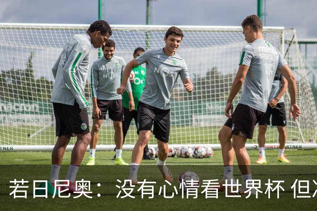 若日尼奥：没有心情看世界杯 但决赛真的很棒
